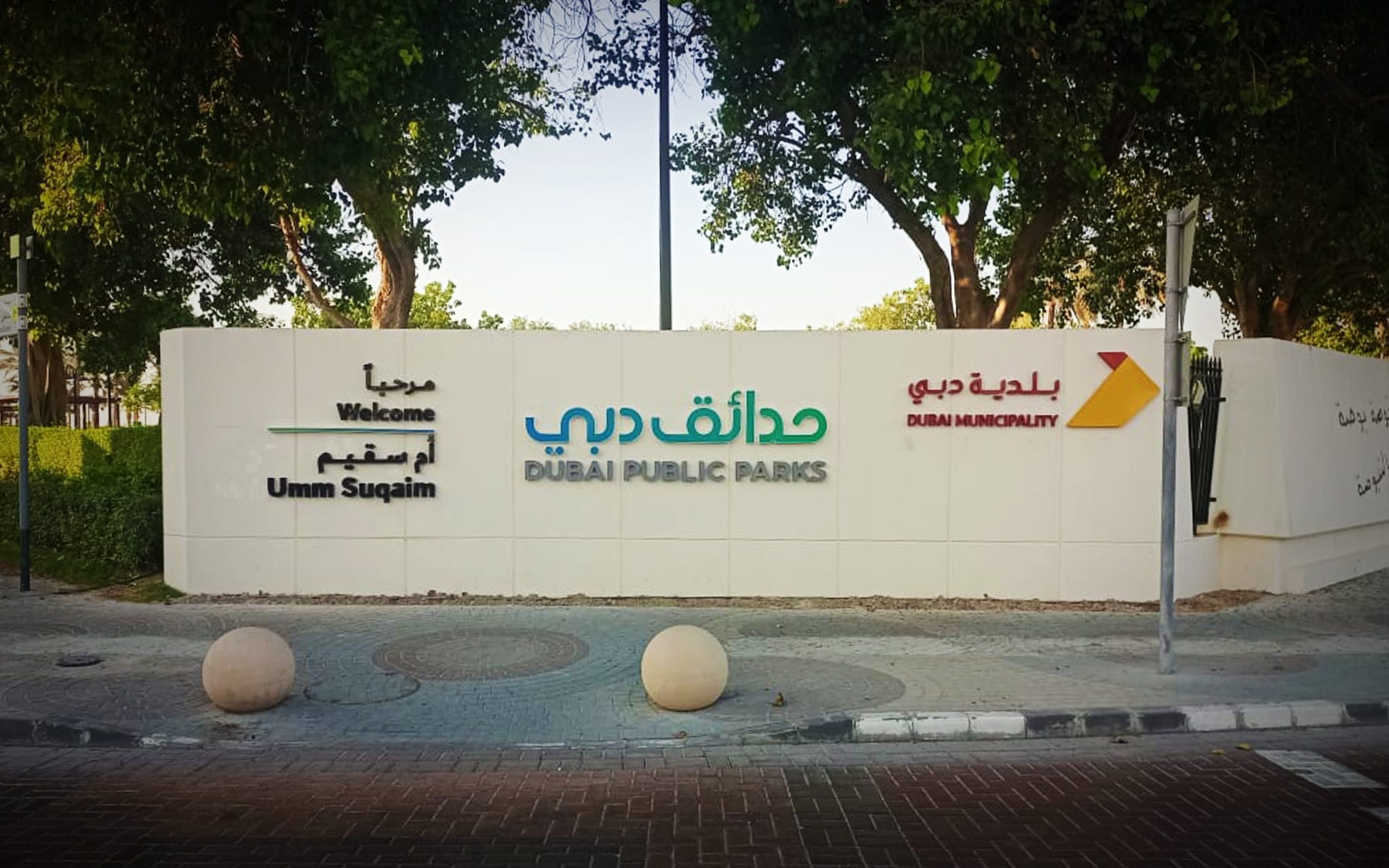 Supporting Public Sector Projects