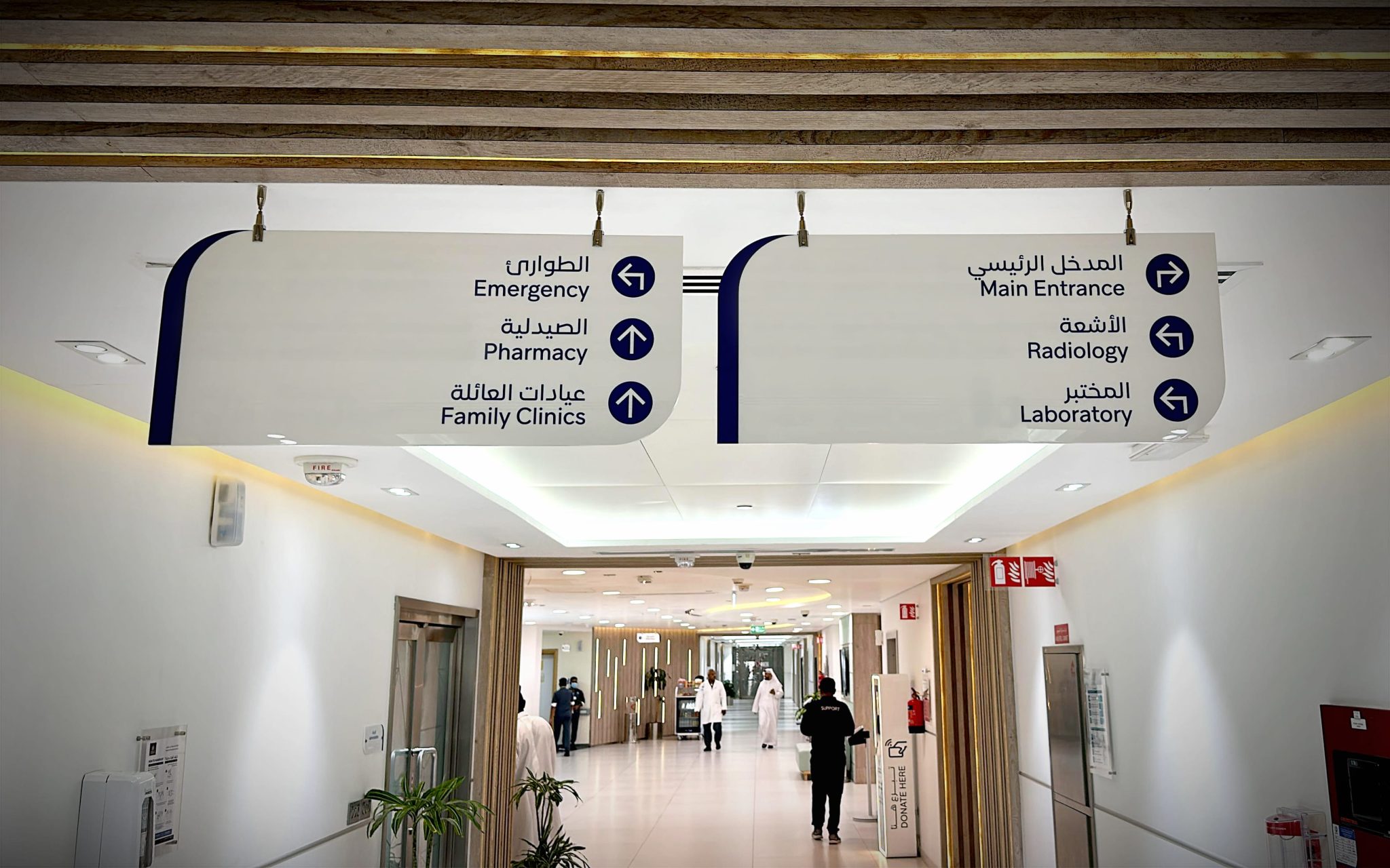 Navigation in Complex Institutional Environments
